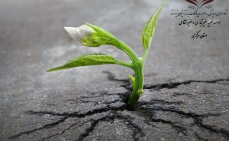 بانوی از جنس مهربانی و انسانیت