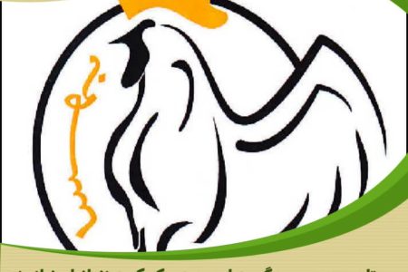 حمایت ارزشمند در مسیر آزادی زندانیان جرائم غیرعمد