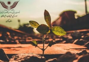 کمک خیر تهرانی به همشهری های سابق خود