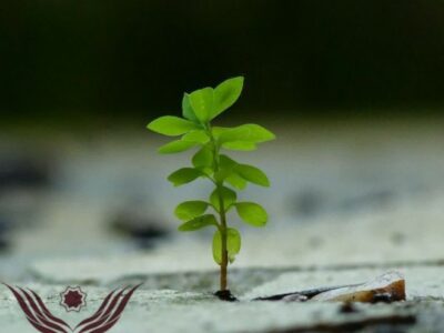 کمک یکصد میلیون ریالی خیر بازنشسته اراکی