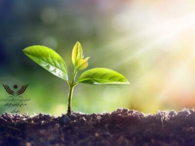🔸کمک خیر گرانقدر جناب آقای غفوری رئیس یکی از شعبات بانک ملت شعبه شهرستان اراک