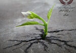 بانوی از جنس مهربانی و انسانیت