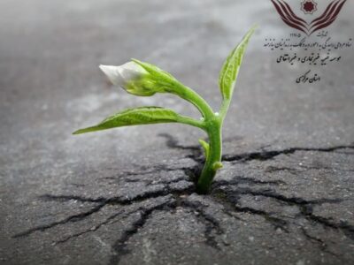 بانوی از جنس مهربانی و انسانیت