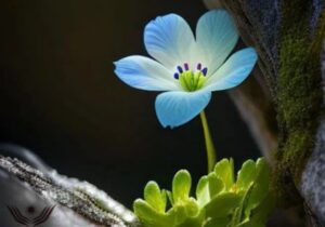💠کمک هشتصدو هفتاد میلیون ریالی موسسه خیریه مکتب المهدی (عج)