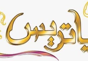 کمک سیصد میلیون ریالی فرش فروش اراکی