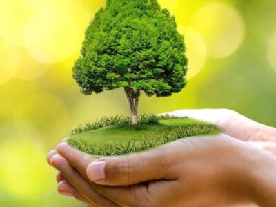 پویش غدیر سبب آزادی مادر محکوم شد