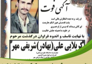 واریز هزینه تاج گل یادبود به حساب ستاد دیه