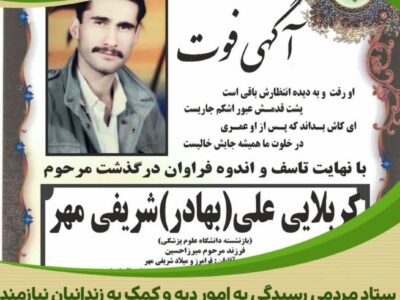 واریز هزینه تاج گل یادبود به حساب ستاد دیه