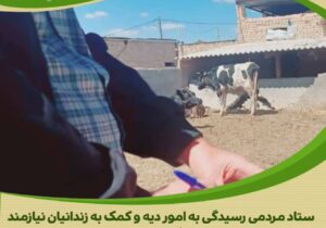 مساعدت دامدار نمونه استان برای کمک به آزادی زندانیان جرائم غیر عمد